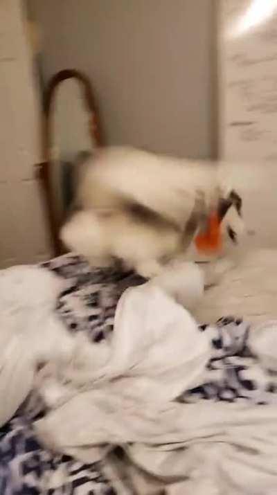 Clean sheets are a CRIME