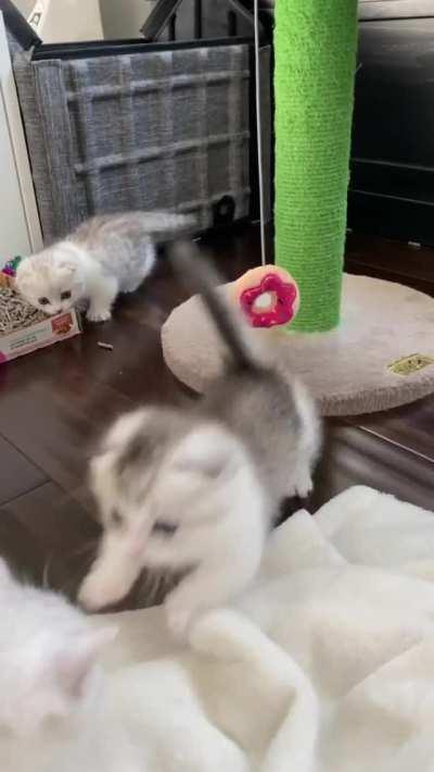 It's Play Time (Can't Touch This)