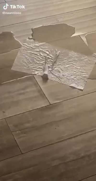 Kid tried cleaning up a spill with one paper towel