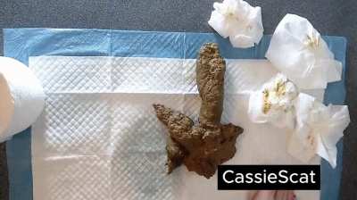 Deepthroating my scat cock + cum countdown. [F] [GIF]