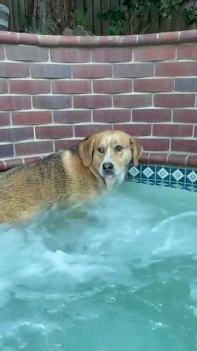 Чтоб вы так жили