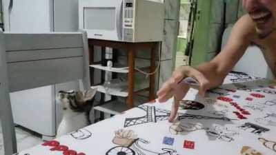 Seriously, where is it