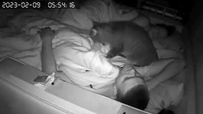 song: heathercore by heather vomiting god 