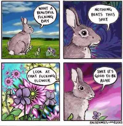 Originally posted on r/weed but someone said it belonged here. Just as I do. 👋