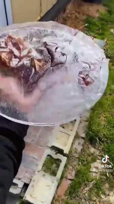 Didn’t go as planned