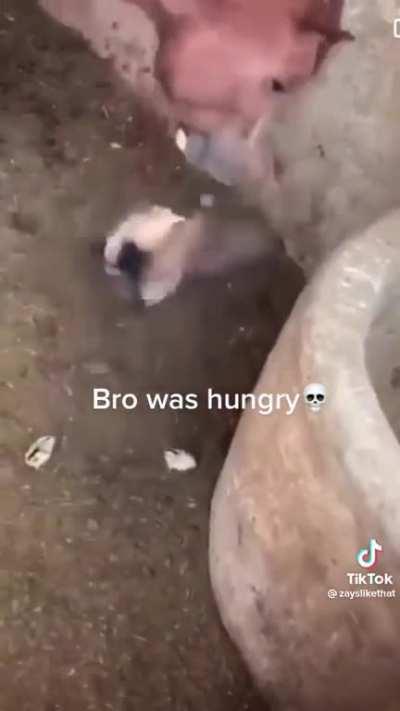 bro let the intrusive thoughts win