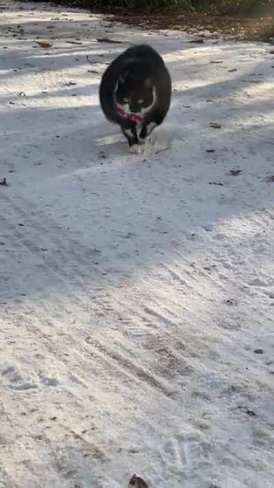 Last minute present incoming