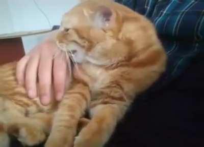 No No, Your Hand Goes Here