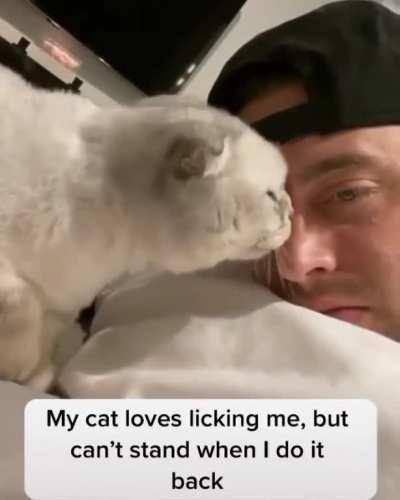 That scream at the end tho..