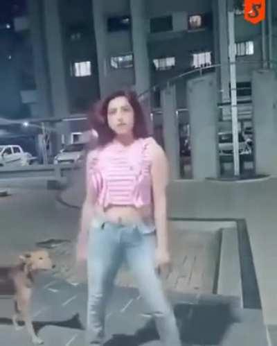 WCGW dancing in a cringe manner in front of a dog