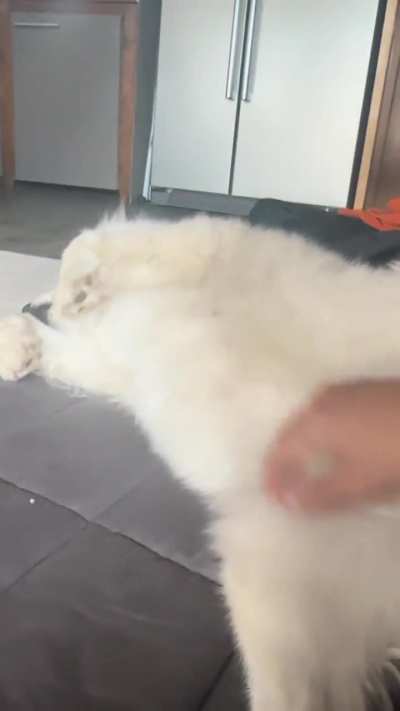 I was told my queen’s behavior would fit this sub.