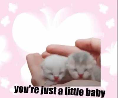 tehciw link you favroits song or god will come in 5 days ,