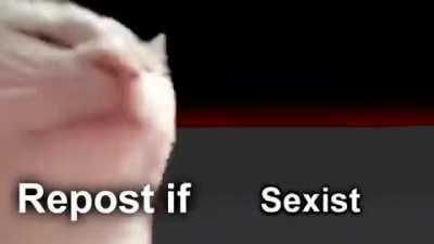 i saw this meme and i wanna know the name of the song please help :D