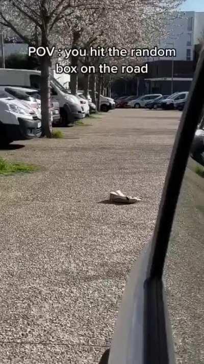 What every gamer dreams of doing with a car