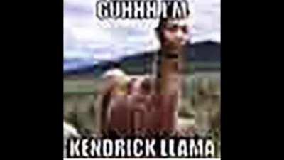 i finally gave the video some audio though i do regret not compressing this file even more