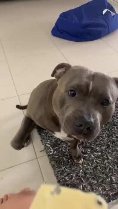 When Cheese is life...