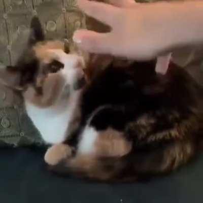 2020 be like...(Website: https://empow.io)