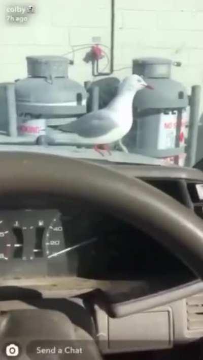 Manufacturing defect?