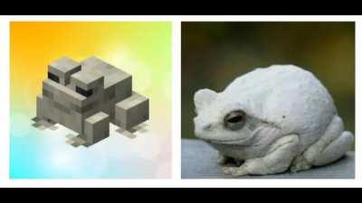 Minecraft vs real life 