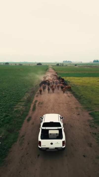 Trabajando en otro proyecto encontré estas tomas y le puse música de interestelar. Ojalá les guste