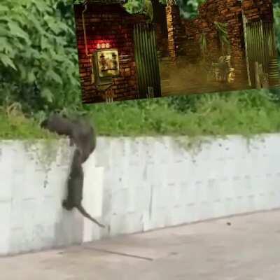 When everyone runs through the exit gate and leaves you behind ... and then this one teammate comes back with borrow time and saves you