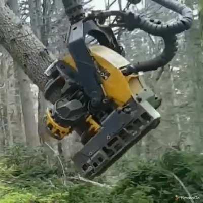 This tree cutting machine walked straight out of sci-fi movie