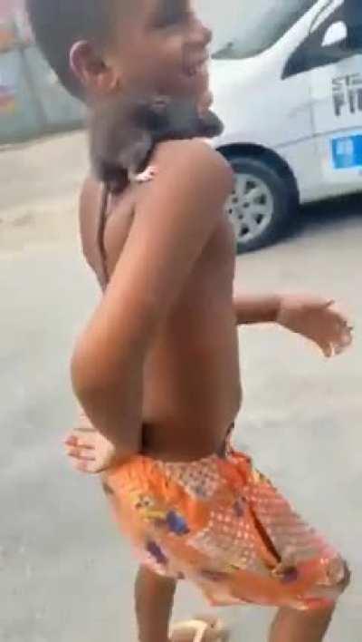 os pets na quebrada são assim