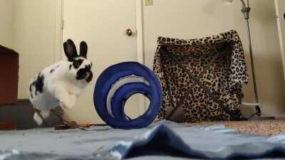 My first attempt at slow-mo binkies was a success!