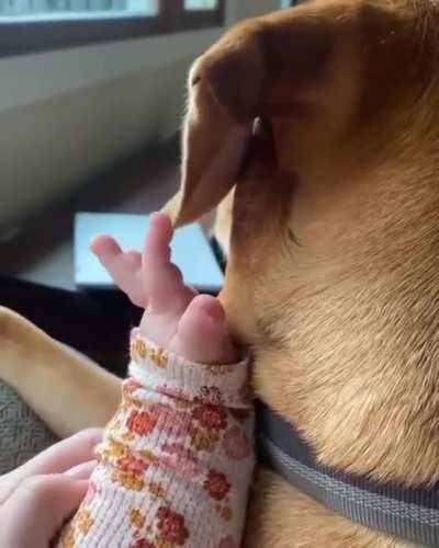 It's the simple things in life