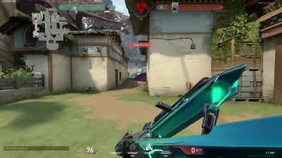 The 50 METER SHORTY...