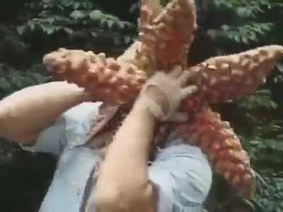 Eu não vi essa chegando, e você ?