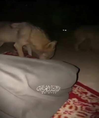 If you stand still...