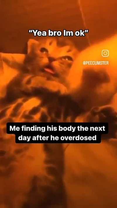 Wish I checked in on him sooner