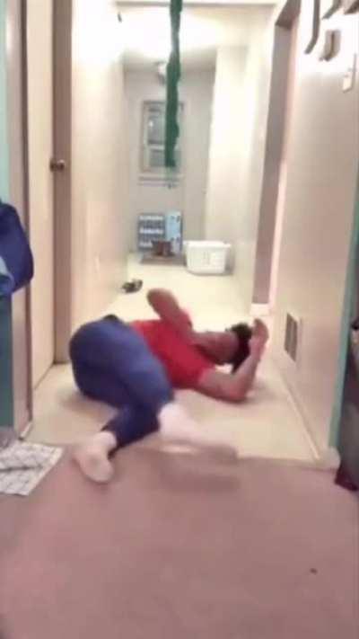 ACME PENDULUM DEVICE.