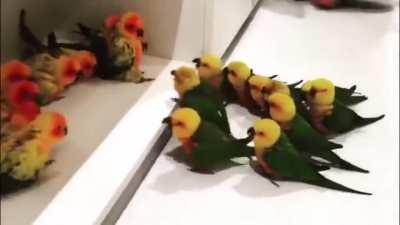 Briga séria entre gangues resulta em feridos! Cuidado!