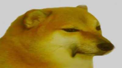 The horny cannot be stopped!