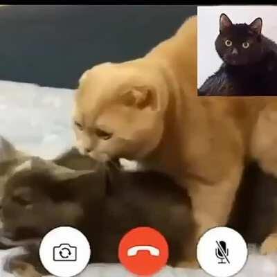 (YÜKSEK SES VAR) size çaresizliği anlatamam ama gösterebilirim