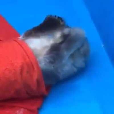 Crying Bundled Babe 🥺