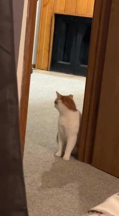 He’s been summoned to fight