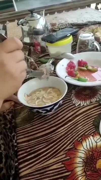 A little bird that came to lunch