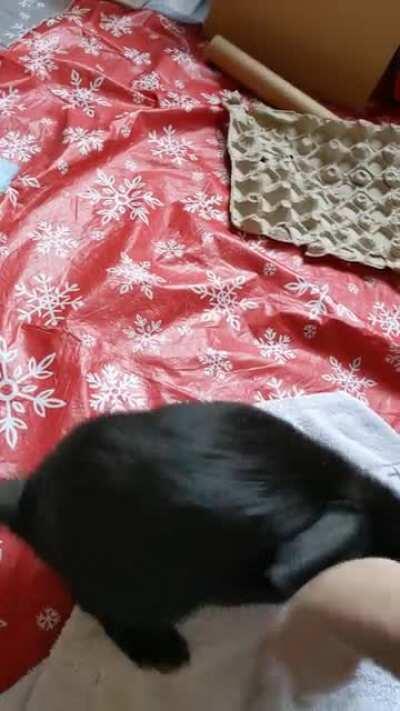 So proud of my spinning boy (he did 30 minutes of zooms after)