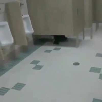 Cursed_bathroom