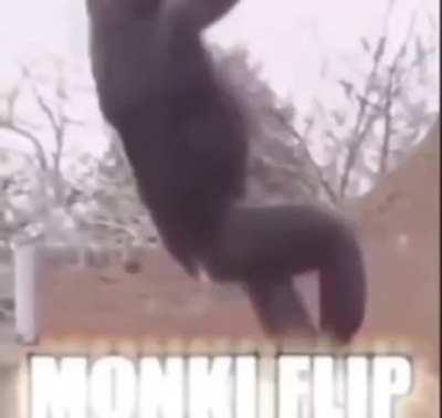 Grate monke prowess 😌👌