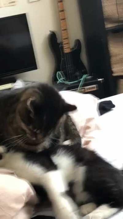 when the smooches r too good