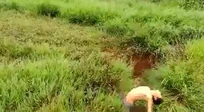 WCGW stepping on a weathered mud