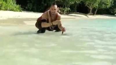 When ni🅱️🅱️as be posting old memes