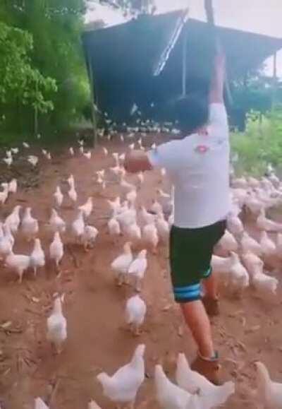 DFV and the apes getting ready for the bell 🔔 GME🚀🚀🚀