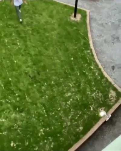 Let me be god today.