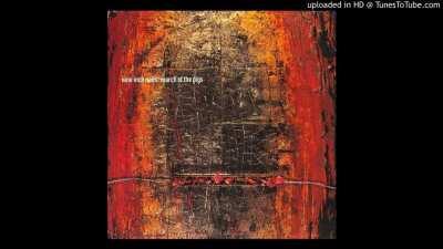 march of the pigs but it never starts