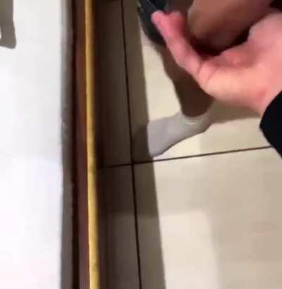 i mean... maybe giving my bro just a platonic blowjob wouldn't hurt anything, just this once...